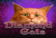 Diamond Cats