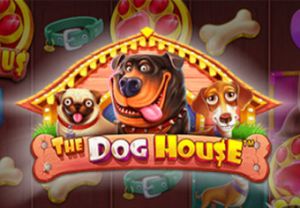 Általános információk a The Dog House slotról